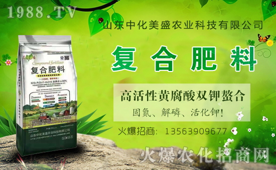 �л���ʢ���v���r(n��ng)���W(w��ng)���_���W(w��ng)�j(lu��)������������