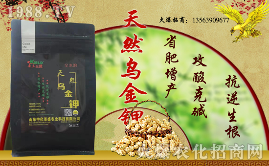 �л���ʢ���v���r(n��ng)���W(w��ng)���_���W(w��ng)�j(lu��)������������