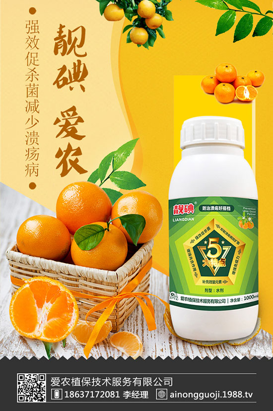 西蘭花如何種植？西蘭花種植時(shí)間及方法！