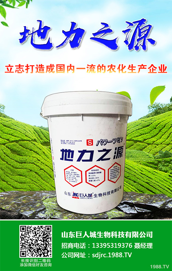 萵苣該如何施肥？萵苣的高產(chǎn)施肥技術(shù)有哪些？這些方法很重要！