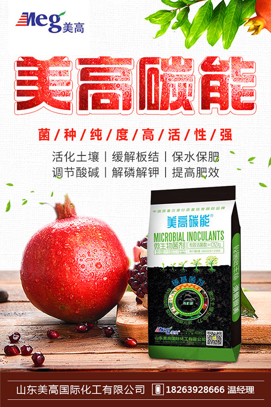     秋季家庭陽臺種植什么蔬菜好？秋冬陽臺種菜的方法！