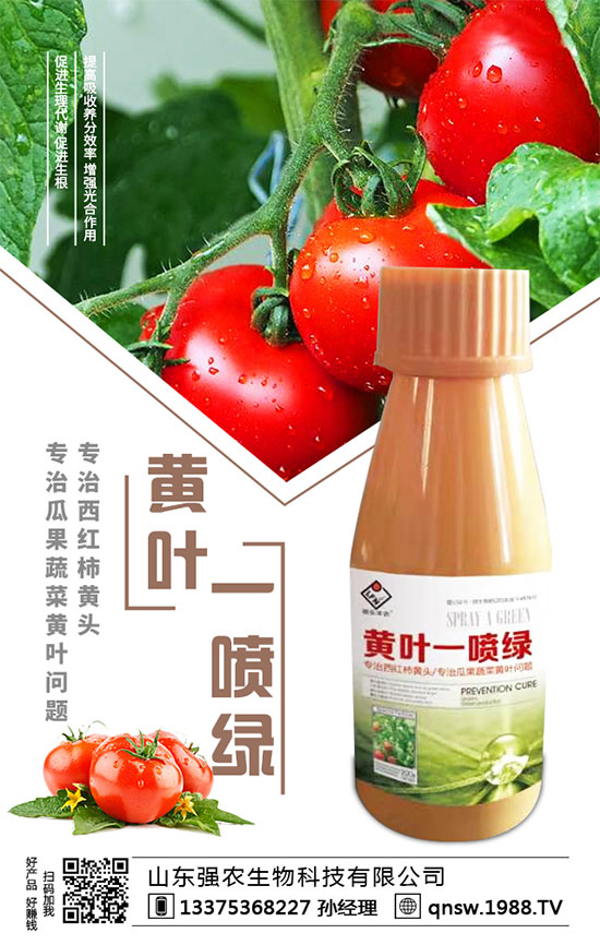 ���}�����N�r�g�����}���Nֲ��Ҫע����Щ�����