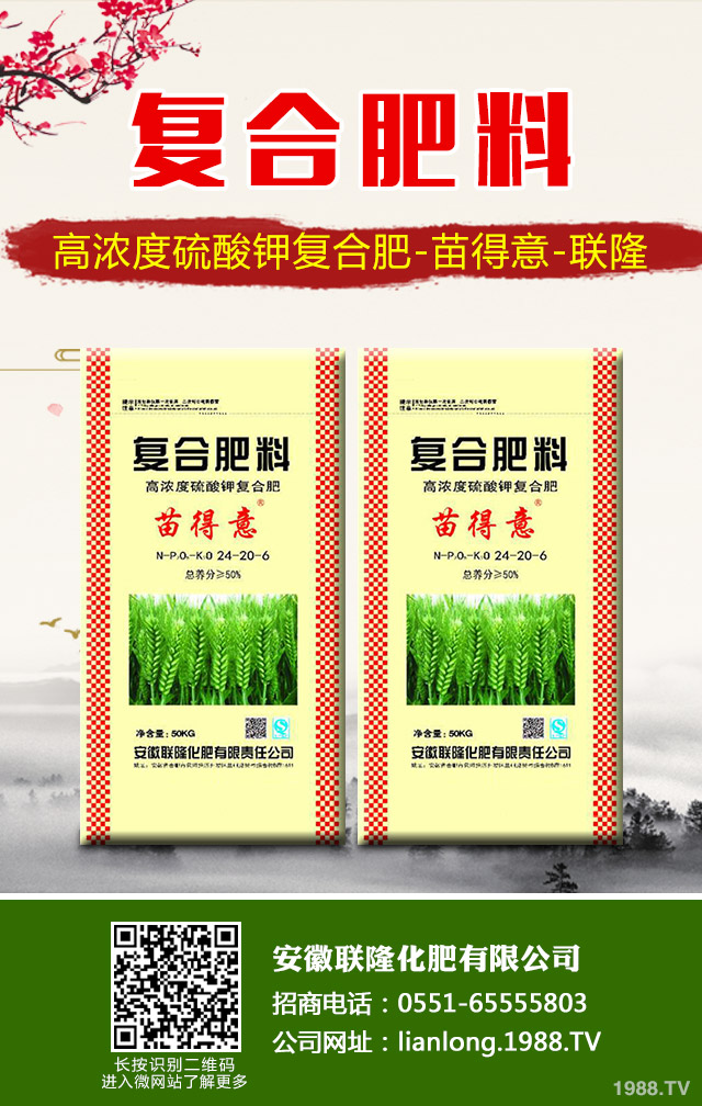 �K�F�~�S�݆��}��ô��Q���K�F�~�S�ݽ�Q����