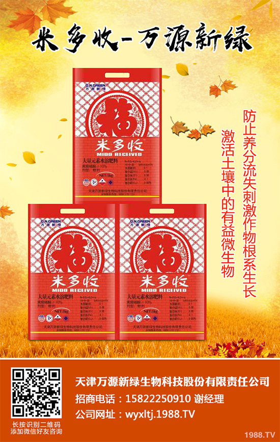 萵苣霜霉病危害這么大，你知道該如何防治嗎？萵苣霜霉病防治方法