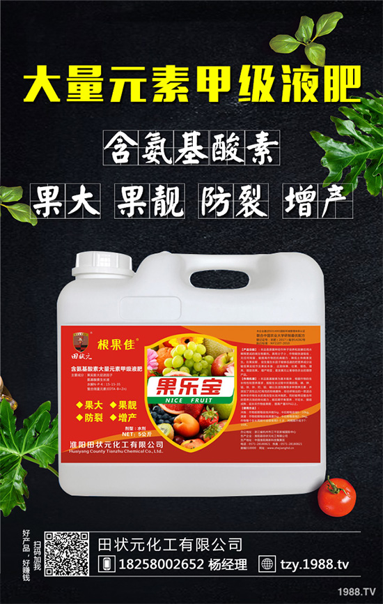     萵苣灰霉病有哪些危害癥狀？是如何引起的？快來看看吧！