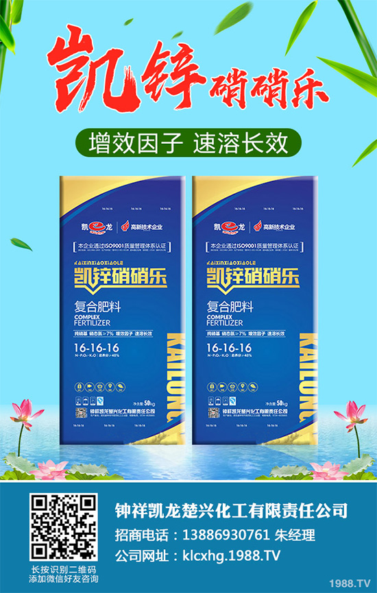     萵苣黑斑病是如何發(fā)生的？有哪些危害？萵苣黑斑病防治措施