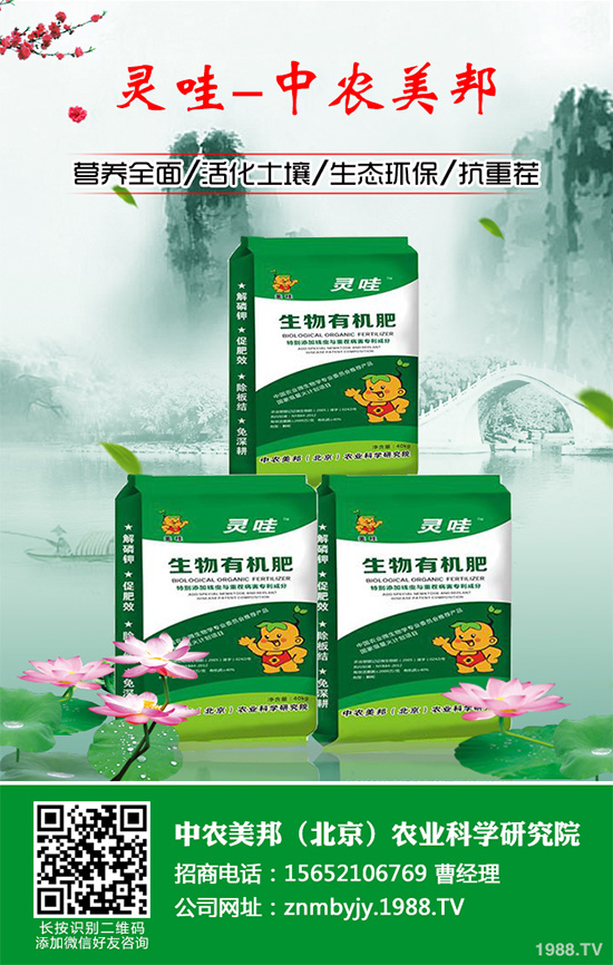     萵苣黑斑病是如何發(fā)生的？有哪些危害？萵苣黑斑病防治措施