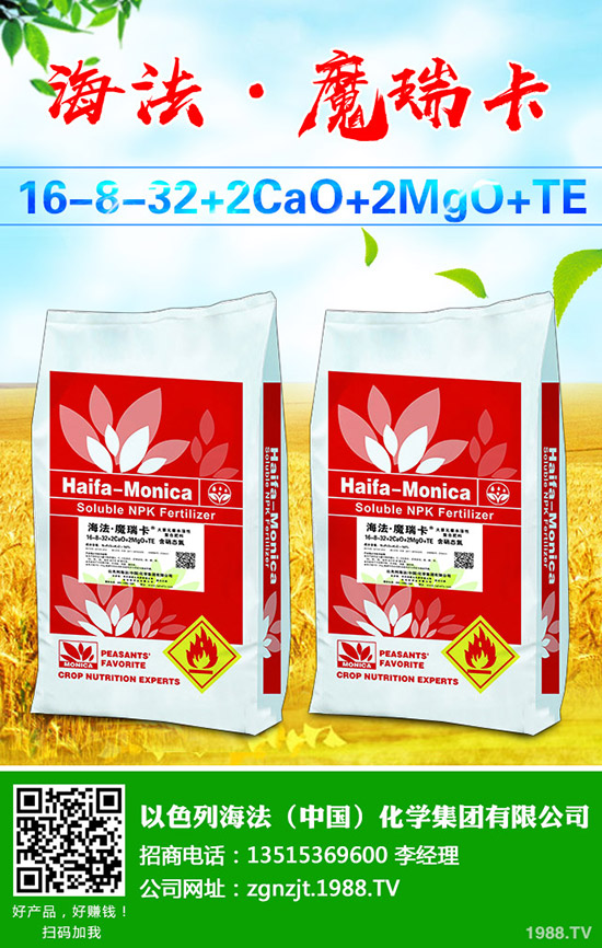     近期國內(nèi)二銨價格走勢分析及后市預(yù)測2019-9-6