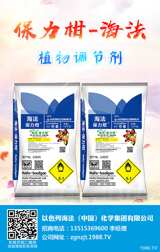     2019年9月6日今日最新一銨主流出廠參考報價一覽