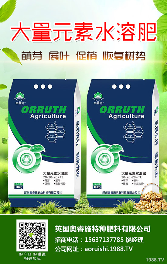     2019年9月第一周最新復(fù)合肥市場價格行情分析及后市預(yù)測