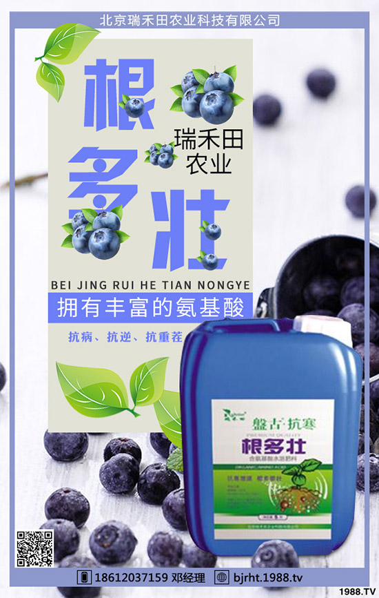 ���t��ʲô�r�g�Nֲ�����t���Nֲ����