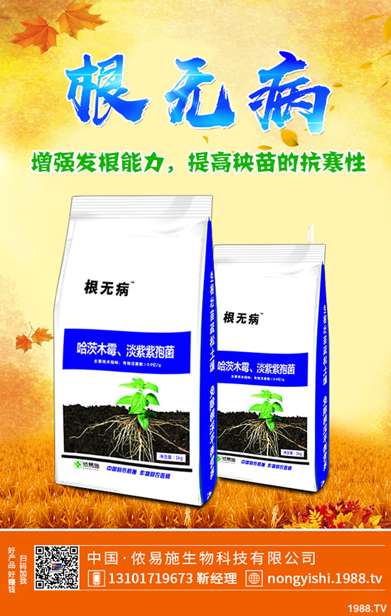     香菜、大蔥、香蔥種植賺錢嗎？常見調(diào)味型蔬菜種植利潤(rùn)分析！