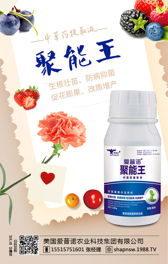 桑葚的功效與作用，孕婦吃桑葚有什么好處？