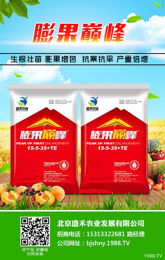 �Ͳ�ʲô����(ji��)�Nֲ���ͲˏķNֲ���S����Ҫ�����