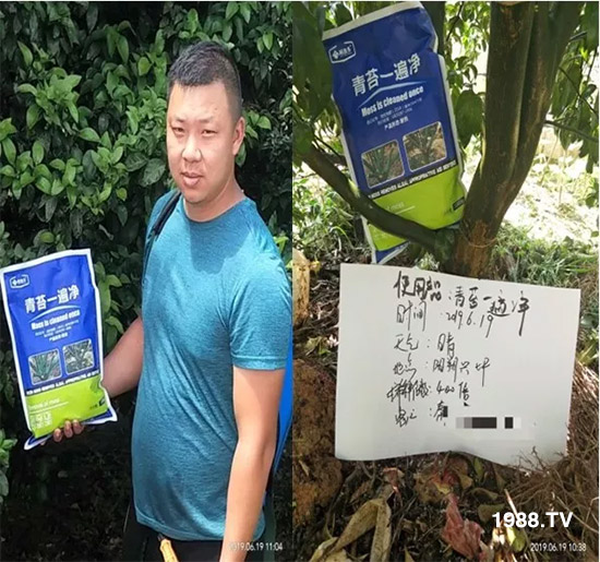 神奇除青苔劑！，不反彈！干凈，青苔無蹤！