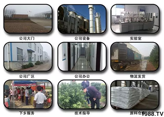 神奇除青苔劑！，不反彈！干凈，青苔無蹤！