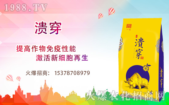 ������һ�t��ףȫ�����т������경��������ӭ���{�����f��������