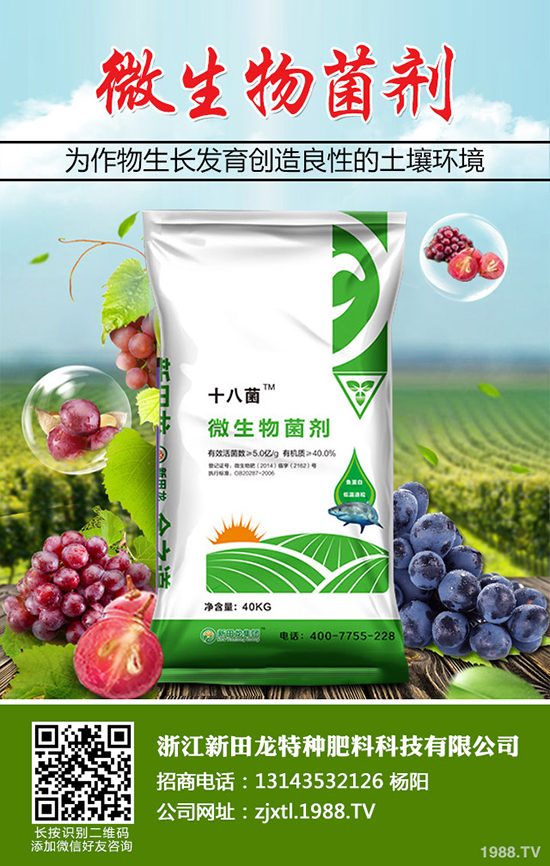 大蒜干尖黃葉什么原因？大蒜干尖黃葉防治方法