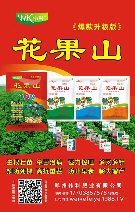 �����ƷʘI(y��)��ף�V�����т�����(ji��)�옷��ƽ���������Ҹ����飡