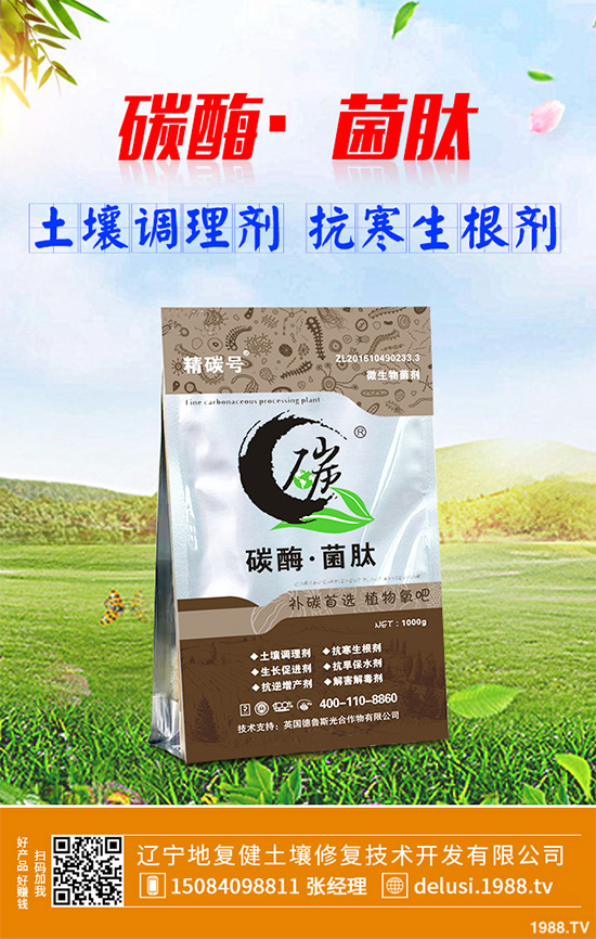     芹菜斑枯病有哪些危害癥狀？芹菜斑枯病的危害及防治