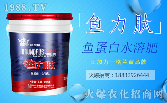 ���������ף������µ�һ�������w�������H�Қg����