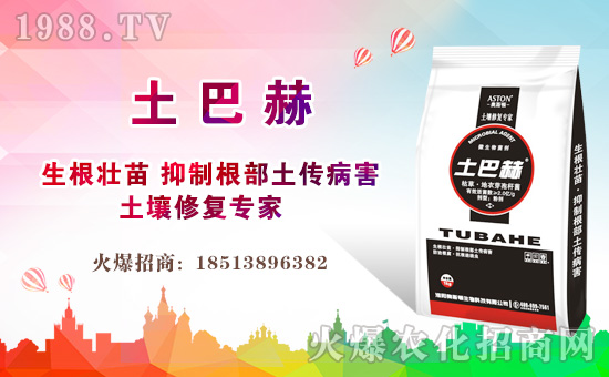     ����ӿ�³����ĺ����u�������������x�Ϛ����˷����P����ꖡ��҂���e�ɿ��Ȼ��2019��ӭ���˳�Mϣ����2020��ֵ���´�����֮�H���W˹�D����Ƽ����޹�˾��ȫ���������Ѱ�������ף������µ�һ����͚����������w��������ͥ��̩���f��������