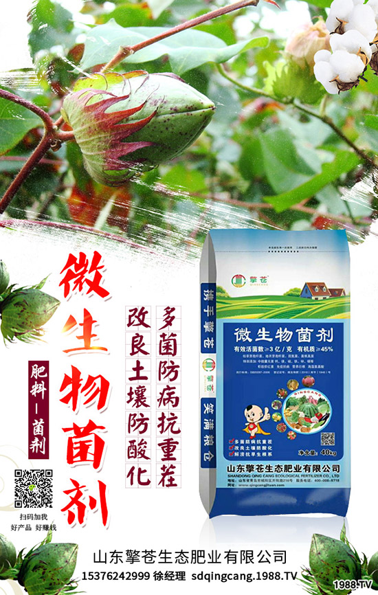     ����(ji��)���R��2020��1�������ܷ�ͦ�r(ji��)�����������߄��A(y��)�y��