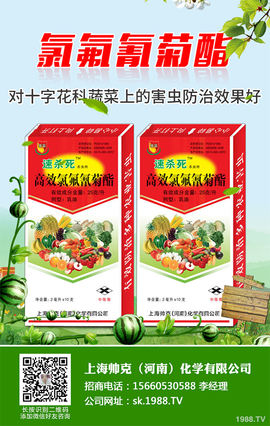     ���x���r(n��ng)ˎ�r��