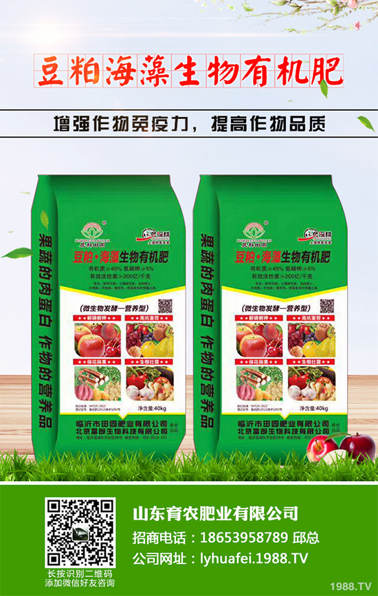 �۲����߲�����ЩΣ���Y�����۲����߲��İY����δ�ʩ