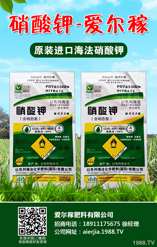 常吃蘆筍對人體有哪些好處？蘆筍的功效作用及營養(yǎng)價值