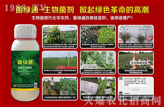 �������r(n��ng)ؐ�á�ף�V��(j��ng)�N�����т����µ�һ������t��ؔԴ�V�M��