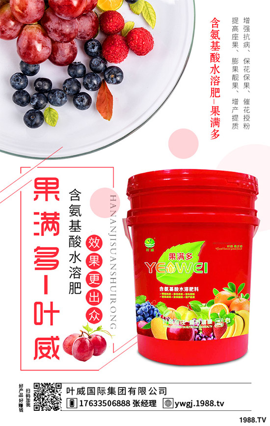 芹菜根腐病是如何發(fā)生的？該怎樣防治？快來(lái)看看吧！