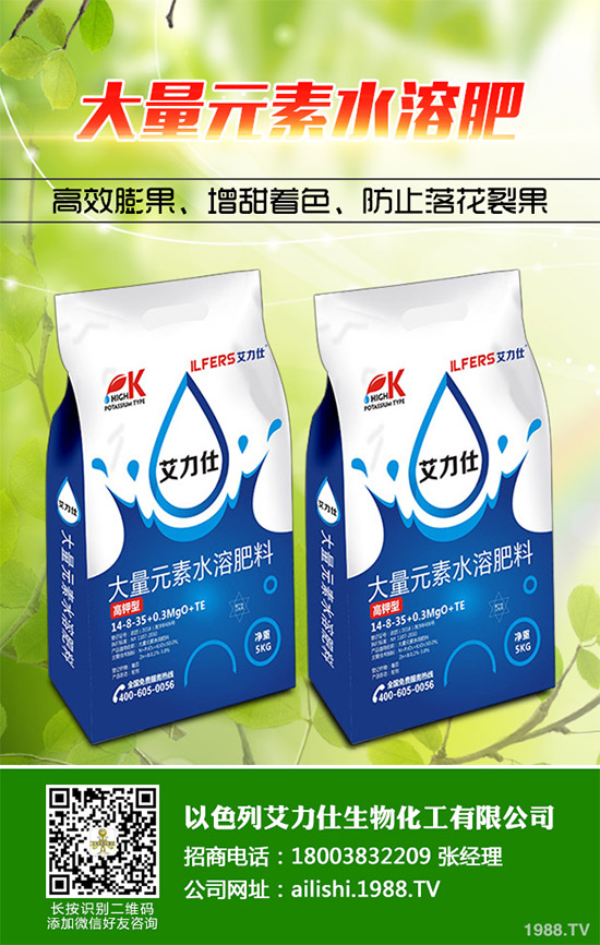 芹菜根腐病是如何發(fā)生的？該怎樣防治？快來(lái)看看吧！