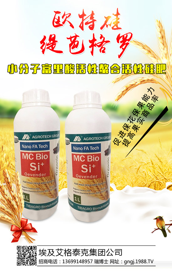 大棚辣椒結果少是怎么回事，怎樣提高辣椒坐果率？