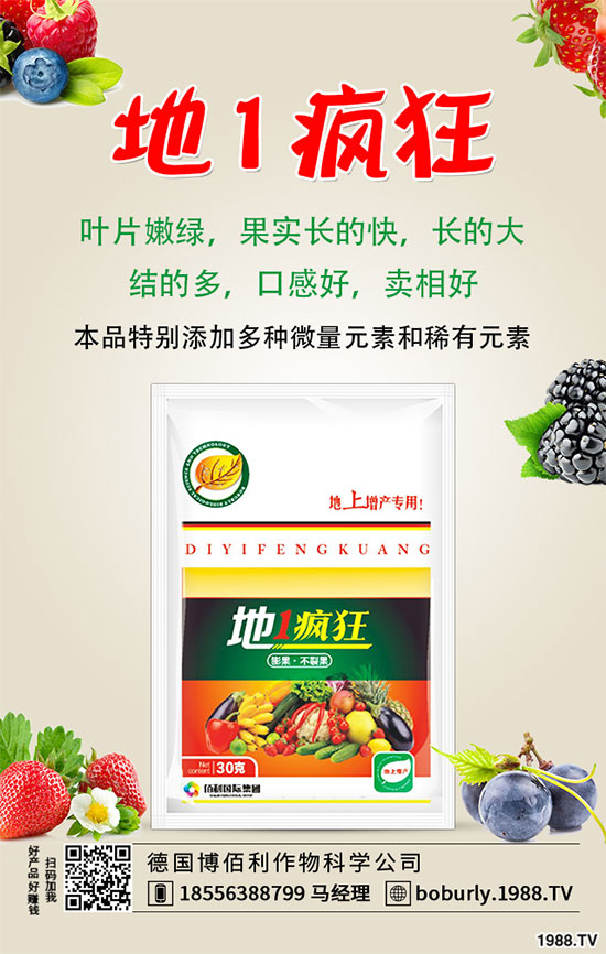 花椒落花落果是什么原因？花椒?；ū９胧?！