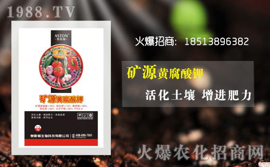 ���W˹�D���ף������µ�һ����͚����������w��������ͥ��̩���f��������