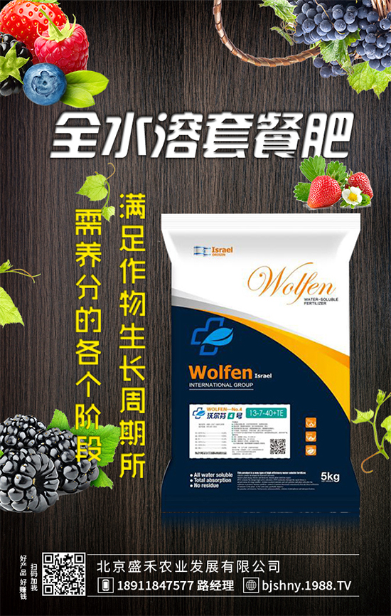 葫蘆種植時(shí)間是什么時(shí)候？葫蘆高產(chǎn)種植方法！