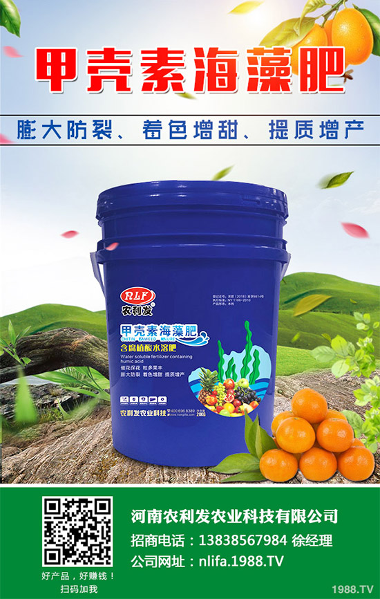 �t���c�uѪ������Щ�^(q��)�e�����߹�Ч�÷��cʹ�ý���