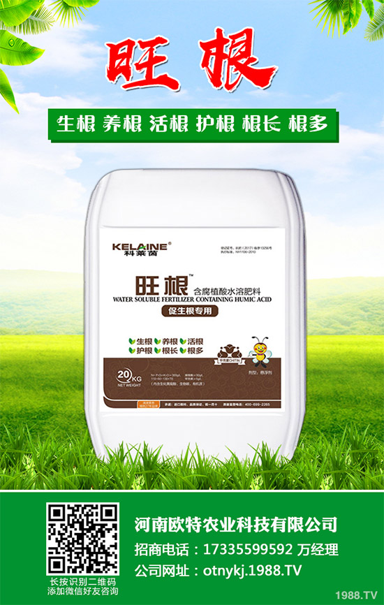 �t������Щ���湦Ч���t�ٵĹ�Ч���ü�������Ⱥ