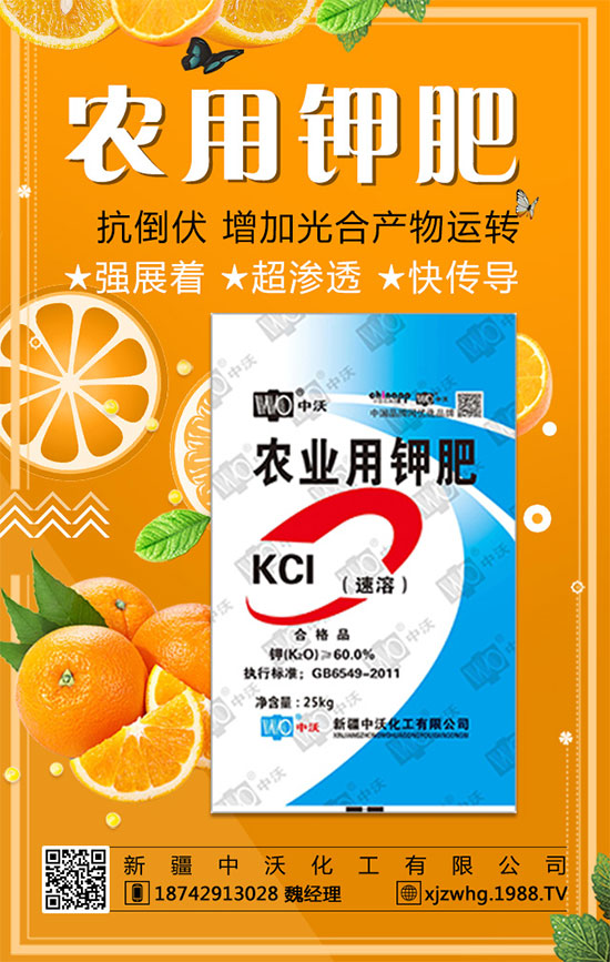 ���½����ֻ�������ף������������옷(l��)�����꼪����2020�L�Lؔ(c��i)Դ��