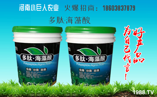 ������С�����r(n��ng)�I(y��)��ף������µ�һ���﹤�����������������