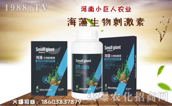 ������С�����r(n��ng)�I(y��)��ף������µ�һ���﹤�����������������