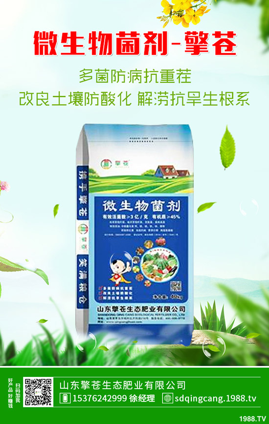     2020年1月4日春節(jié)前磷銨價(jià)格上?。∽钚铝姿嵋讳@價(jià)格早報(bào)！