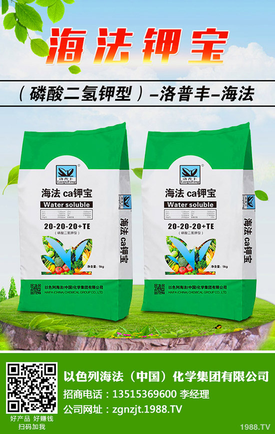 怎樣做好冬季梨樹修剪，梨樹冬季修剪的時間及方法！