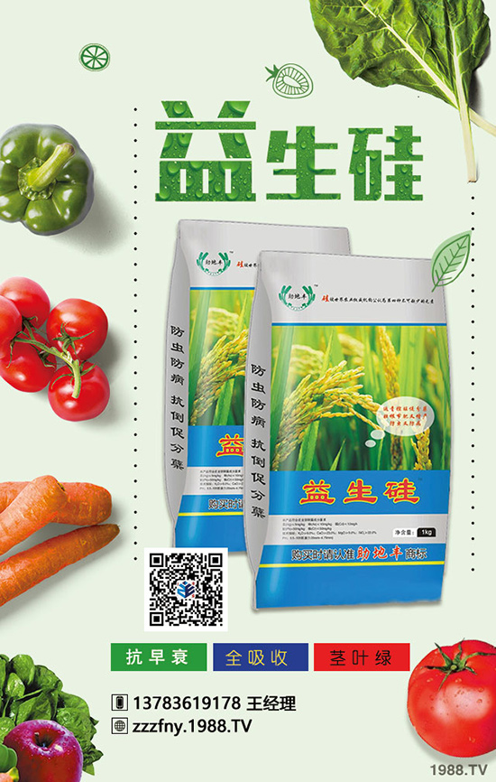 菜椒想高產(chǎn)，應(yīng)在菜椒幼苗期與掛果期科學(xué)施肥！