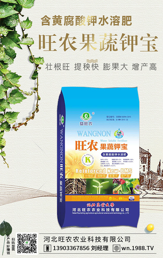 ���������L��(x��)������Щ���������B(y��ng)�o(h��)Ҫ�c(di��n)��