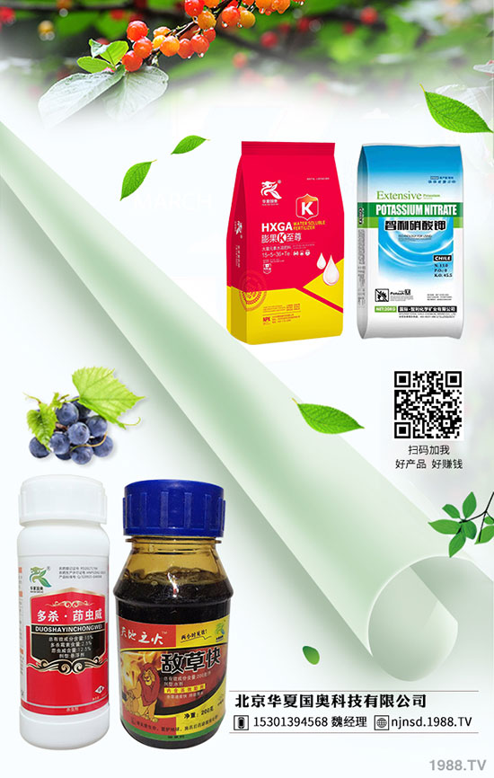 ������������A������