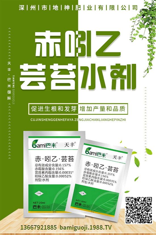 紅薯的營(yíng)養(yǎng)價(jià)值有哪些，紅薯的功效作用與使用禁忌！