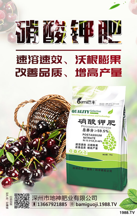 紅薯育苗時(shí)間是什么時(shí)候？紅薯育苗方法有哪些？