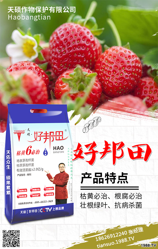 �����Ϲ�ԓ��ηNֲ�������Ϲϴ���Nֲ���g(sh��)